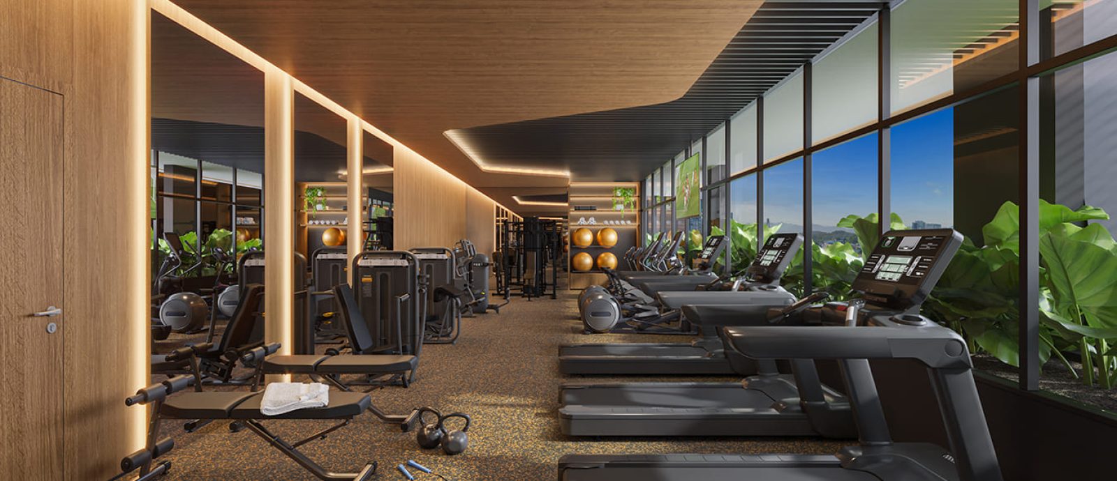Fitness
